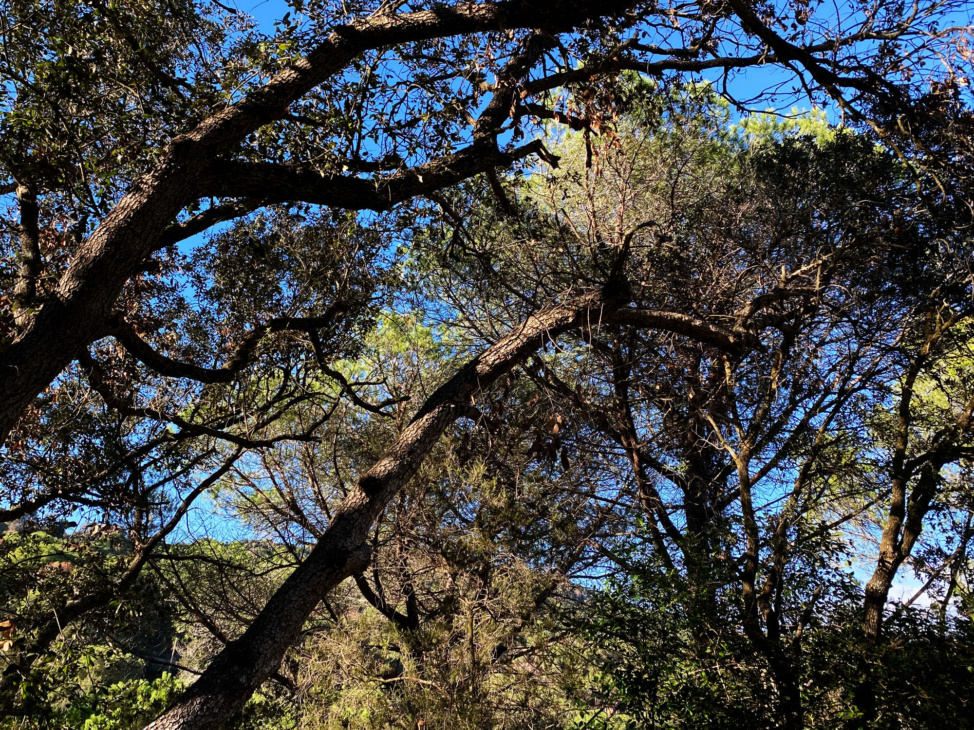 Mooie natuurgebieden vlakbij Barcelona